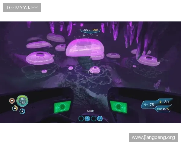 千亿官网登录app带你畅享极致游戏体验，开启无限精彩的虚拟世界